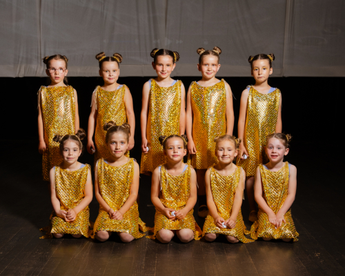 DANSE ATTITUDES GROUPE-10