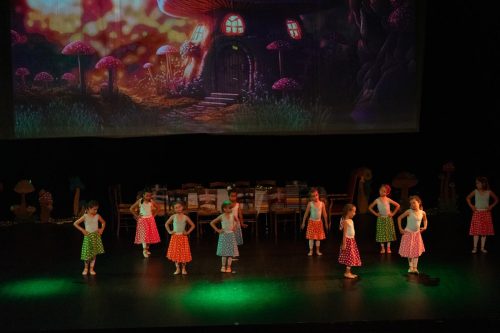 DANSE ATTITUDE 29062025 286