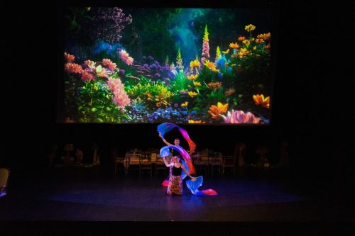 DANSE ATTITUDE 29062025 290