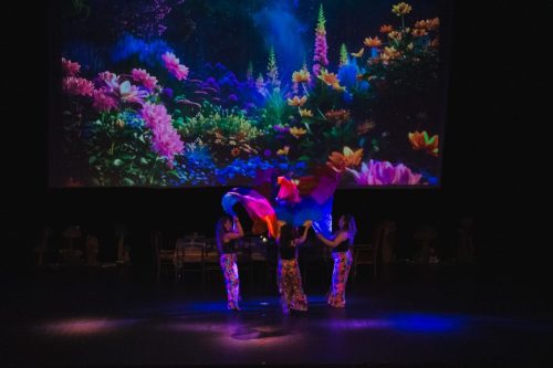 DANSE ATTITUDE 29062025 294