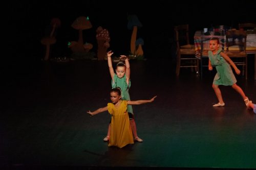 DANSE ATTITUDE 29062025 313