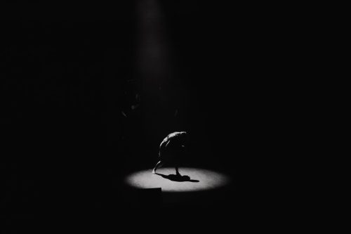 JMIMAGINE 15062025 423